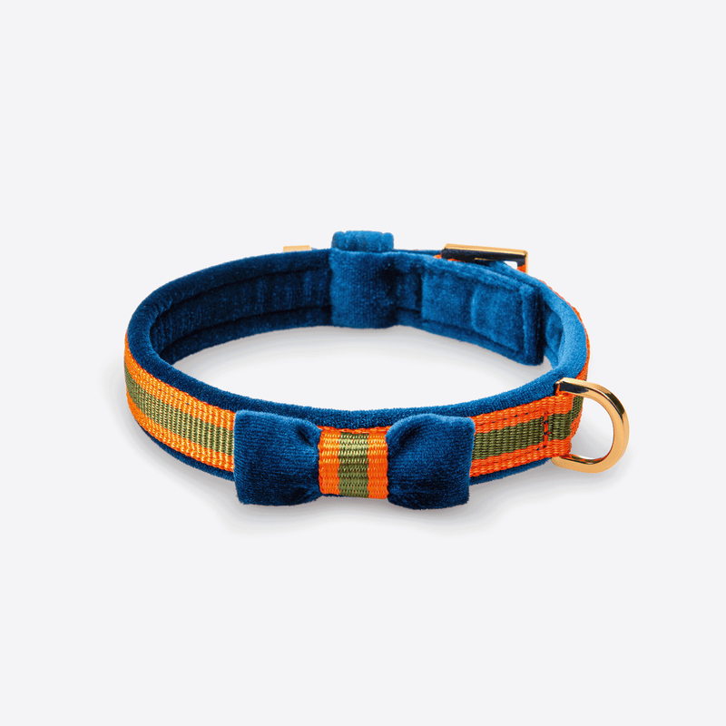 Velvet Dog Collar "Hamptons Blue" - Bow Edition
