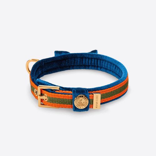 Velvet Dog Collar "Hamptons Blue" - Bow Edition